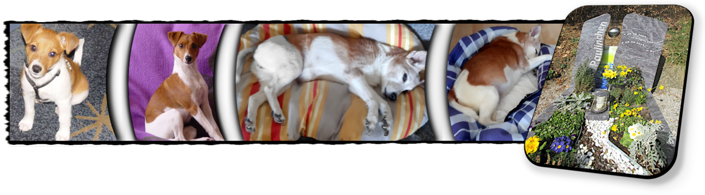 Paulinchen